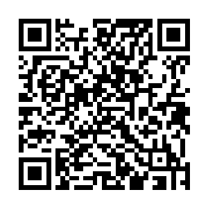 很有良心的将苏先生母子二人的两菜一汤增加为三菜一汤二维码生成