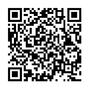 很自然地――同时也很紧张地对切萨雷开始推销珍妮二维码生成