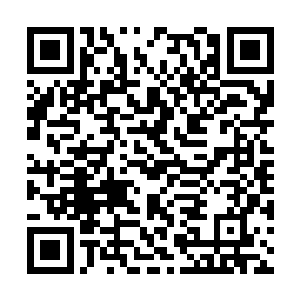 很遗憾自己没有保护好自己生命中最重要的那些人二维码生成