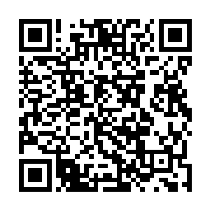 很酷视频网作为如今与千歌火鸡拣宝商城合作的外围成员二维码生成