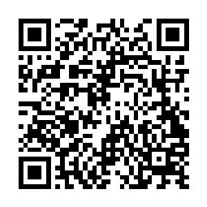 很难相信这样满含煞气的声音是从人类的口中发出二维码生成