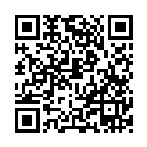 很高兴我们能在戛纳这个美妙的电影殿堂二维码生成