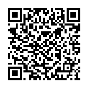 徐凤年伸手揉了揉她那小鸡窝一般乱糟糟的头发二维码生成