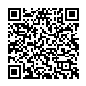 徐凤年身后的征东大将军贺大捷咽了咽一口唾沫二维码生成
