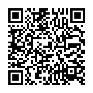 徐天涯也清楚的感觉到了自己想要进入大罗金仙境界二维码生成