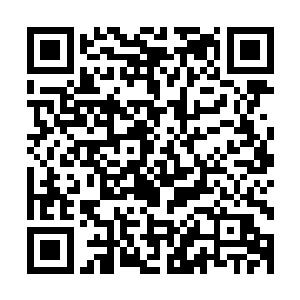 徐天涯终于将自己能够在天道峡谷内领悟的三千大道一一领悟二维码生成