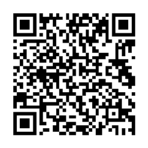 徐天涯运转天道虚空神通身体内的仙灵之气运转虚空二维码生成