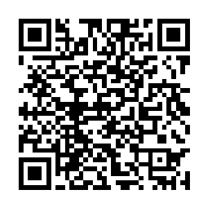 徐夫人和一个稳婆一人抱着一个孩子走了出来笑道二维码生成