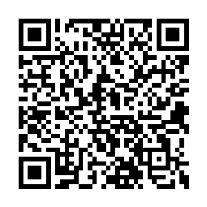 徐成周和衣晓溪他们当初的时候也都是有一号的二维码生成