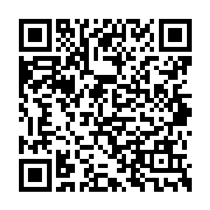 徐敏静自己就已经习惯将重心和精力放在学习上二维码生成