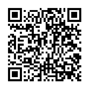 徐无泷一眼便是看见了站在圆坑中心位置的叶然与孔雀二维码生成