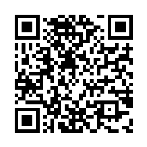 徐海等人与朱平安大致说了一下调查情况二维码生成