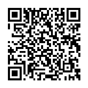 徐辛夷殷红丰润的嘴儿张得可以吞下整只鸡蛋了二维码生成