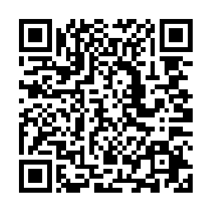 徐骁自然便是无一大错大非却有无数大是大功的异姓王二维码生成