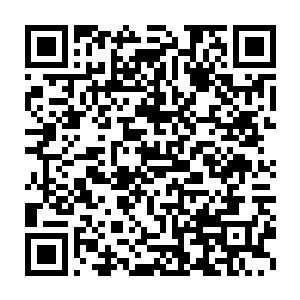 得到比较稳定的效果之后再应用到自己身上之所以选择自己的血裔二维码生成