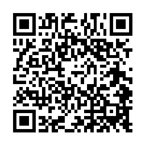 得到的一些零碎信息始终还是和之前所调查到的情况一样二维码生成