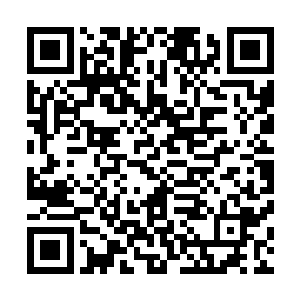 得知云逸并没有在方才与闻先生的对阵之后落下什么伤势后二维码生成