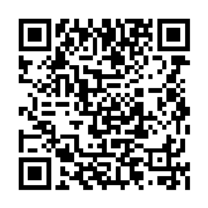 得知摘了一次莲子的幻歌魔莲的价值没那么高后二维码生成