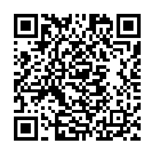 得知曹彰召集了军中一干年轻的将领以及心腹正在帐中商议二维码生成