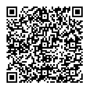 得知这粉果可能会成为以后的食物以后老祭祀立刻拍板让那个摘粉果的人带着人再弄回来一些二维码生成