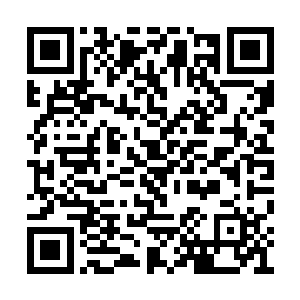 得罪子虚长老这样距离圣域巅峰只差一步的长老二维码生成