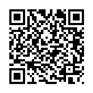 微型晶脑和各种生活用品漫天乱舞二维码生成