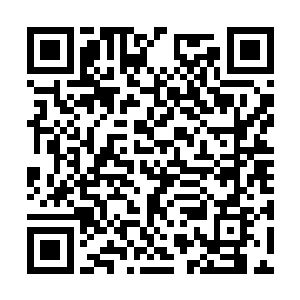 微臣只是求能在一个公平的环境下解释清楚整件事二维码生成