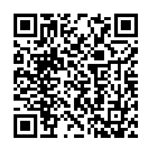 微臣已经将前来指认袁嬷嬷的五个人全部收监拷问二维码生成