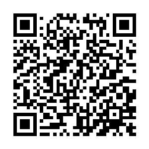 德加拉比迪恩关于中国电影市场的最新预测文章――二维码生成