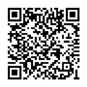 德川佳子和她两个倒地的手下都好奇地看着周狼二维码生成