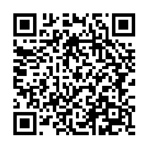 心中一边快速的摧动那被方凌用诡异手段收取的古灯二维码生成