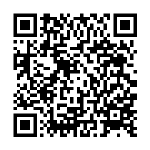 心中也实在没有想到自己的法术威力居然变得如此巨大二维码生成