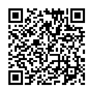 心中却猜测着这个萧摇是不是那个他们所想萧摇二维码生成