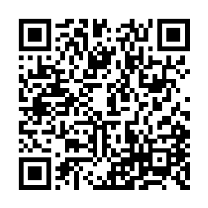 心中对杨玲珑的这种性格和韧性也不禁惺惺相惜二维码生成