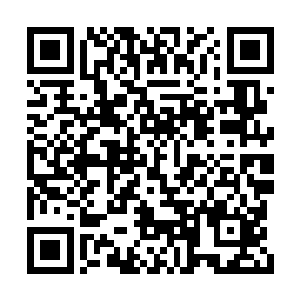 心中对韩明晰如此真心对待楚君唯却是十分感动二维码生成