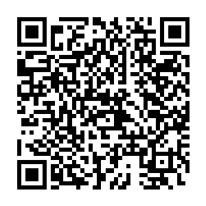 心中想着那天看到母亲眼睛红红的看着当初和父亲的结婚照片的情形二维码生成
