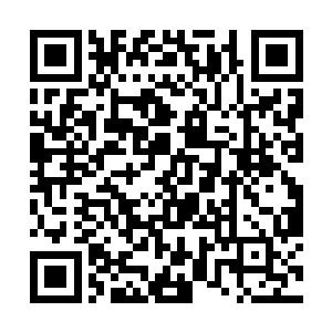 心中有些担心这些蜘蛛将来在追杀自己的高手威压下二维码生成