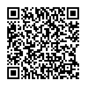 心中正觉得百族中任何一个修士都不能够让自己真正试验出虚无剑式的大成境界二维码生成
