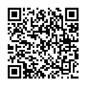 心情大快的苗毅又光着脚丫子跑去和飞红玩乐去了二维码生成