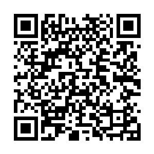 心情极度郁闷地将地上的火精石都收进了储物戒指二维码生成