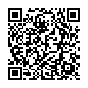 心想现在霍君瑶还不知道自己转世前发生的所有事情二维码生成