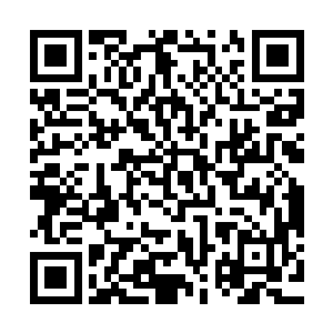 心想雨雾圣地发现他们的丹药被盗走后不知道会是怎么一种情况二维码生成