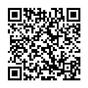 心意坚如磐石的裴道通真的以为自身陷入了敌人的幻术二维码生成