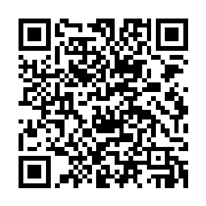 心理上他们每人都面对的是五六个和自己同等修为的影狼兽虚影二维码生成