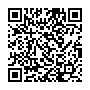 心的谈话使得金明河认定丁长生是一个可以跟随的人二维码生成