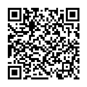 心神恍惚之下已被杨开一抓破开他引以为傲的防御二维码生成