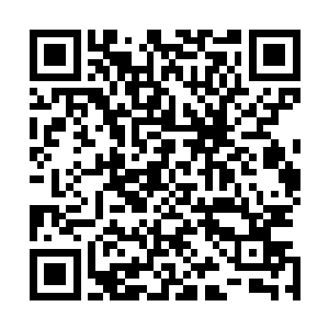 心脏的通知血脉冲破了原有的禁锢朝着林烽的四肢百骸蔓延二维码生成