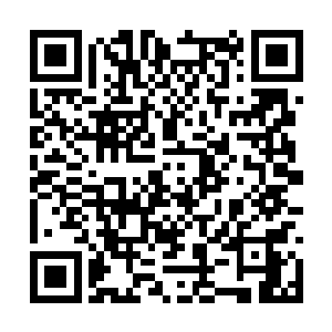 心脏监控仪的屏幕上还在流淌着毫无起伏的单行线二维码生成