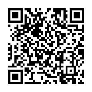 心道看来第一时间前往圣壁峡谷的计划已经完全行不通二维码生成