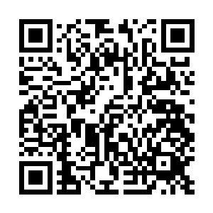 心道这次就算是绑也不能让雨这个小丫头再跑出去惹事了二维码生成